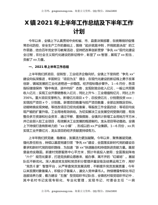 X镇2021年上半年工作总结及下半年工作计划28225.docx