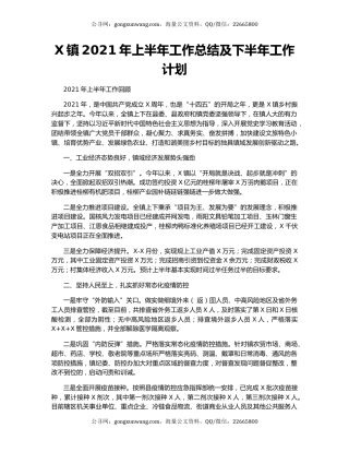 X镇2021年上半年工作总结及下半年工作计划29271.docx