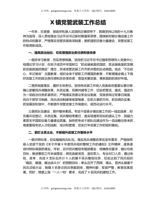 X镇党管武装工作总结.docx