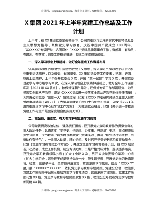 X集团2021年上半年党建工作总结及工作计划.docx