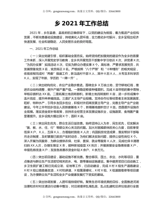 乡2021年工作总结.docx