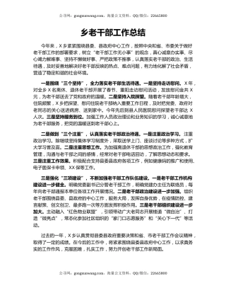 乡老干部工作总结.docx