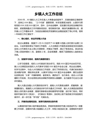 乡镇人大工作总结.docx