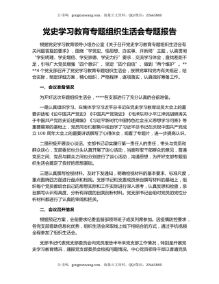 党史学习教育专题组织生活会专题报告.docx