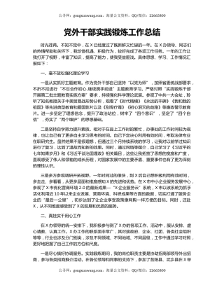党外干部实践锻炼工作总结.docx