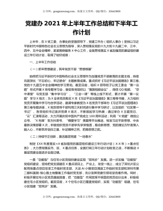 党建办2021年上半年工作总结和下半年工作计划.docx
