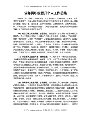 公务员职级晋升个人工作总结.docx