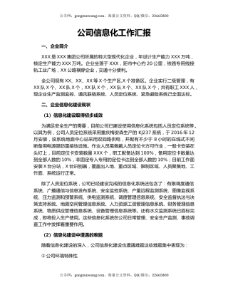 公司信息化工作汇报.docx