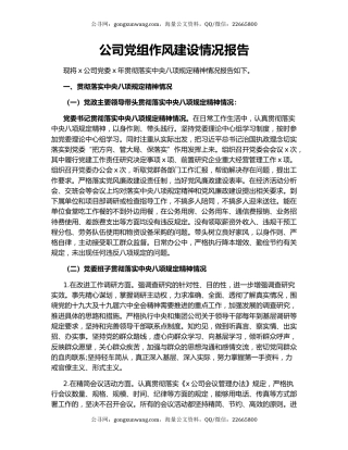 公司党组作风建设情况报告.docx
