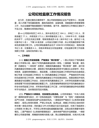 公司纪检监察工作情况报告.docx