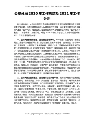 公安分局2020年工作总结及2021年工作计划.docx