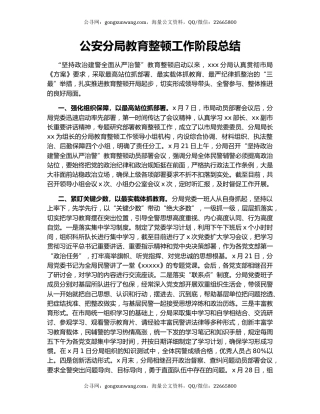 公安分局教育整顿工作阶段总结.docx