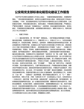 公安局党支部标准化规范化建设工作报告.docx