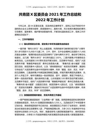共青团X区委员会2021年工作总结和2022年工作计划.docx