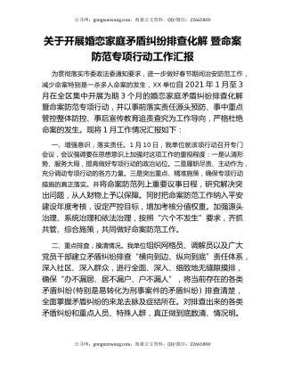 关于开展婚恋家庭矛盾纠纷排查化解 暨命案防范专项行动工作汇报.docx