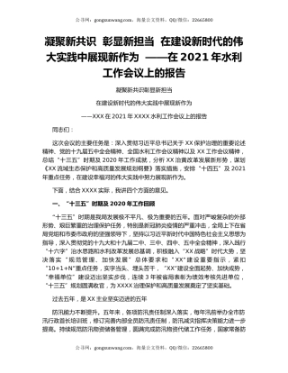 凝聚新共识  彰显新担当  在建设新时代的伟大实践中展现新作为  ——在2021年水利工作会议上的报告.docx