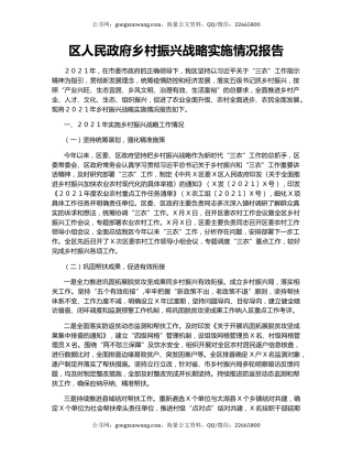 区人民政府乡村振兴战略实施情况报告.docx