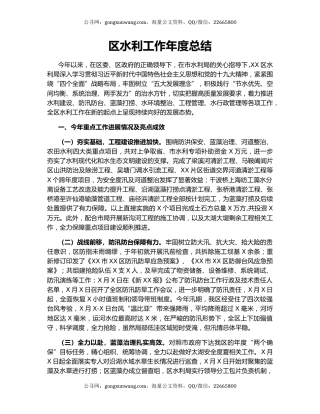 区水利工作年度总结.docx