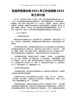 区自然资源分局2021年工作总结暨2022年工作计划.docx