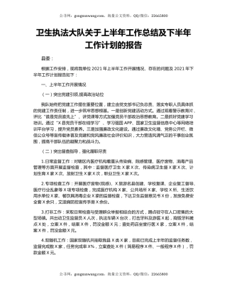 卫生执法大队关于上半年工作总结及下半年工作计划的报告.docx