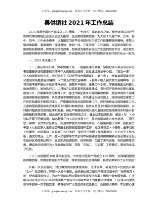 县供销社2021年工作总结.docx
