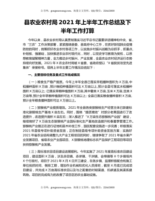 县农业农村局2021年上半年工作总结及下半年工作打算.docx