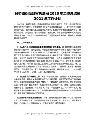 县劳动保障监察执法局2020年工作总结暨2021年工作计划.docx