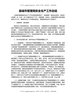 县城市管理局安全生产工作总结.docx
