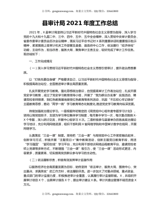县审计局2021年度工作总结.docx