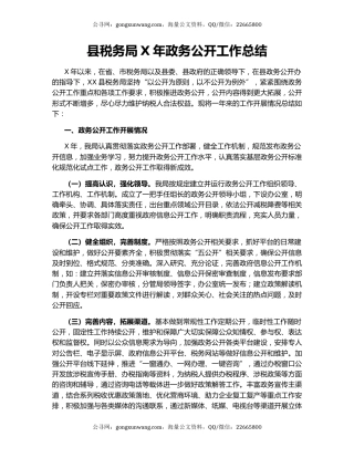 县税务局X年政务公开工作总结.docx