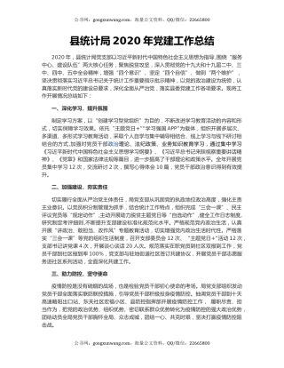 县统计局2020年党建工作总结.docx