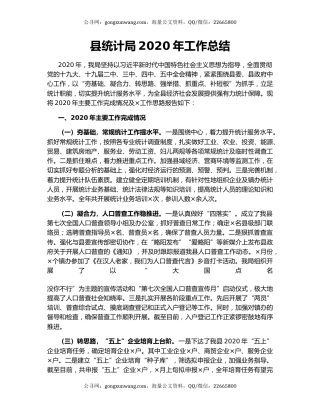 县统计局2020年工作总结.docx