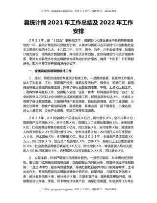 县统计局2021年工作总结及2022年工作安排.docx