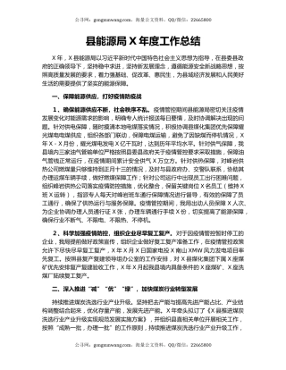 县能源局X年度工作总结.docx