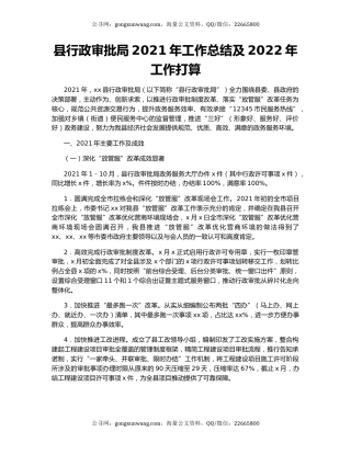 县行政审批局2021年工作总结及2022年工作打算.docx