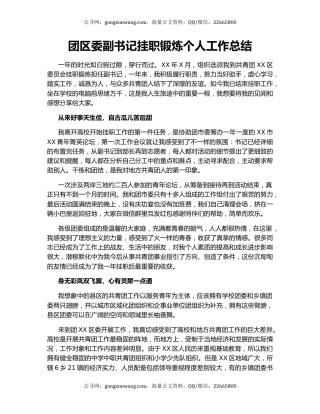 团区委副书记挂职锻炼个人工作总结.docx