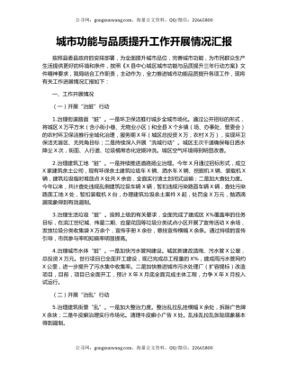 城市功能与品质提升工作开展情况汇报.docx
