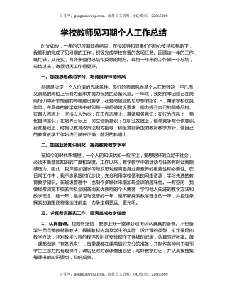 学校教师见习期个人工作总结.docx