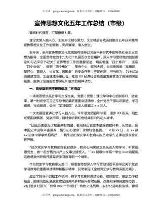 宣传思想文化五年工作总结（市级）.docx