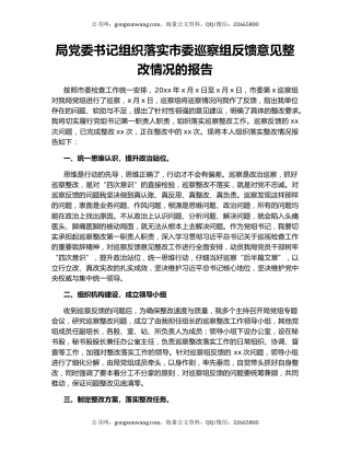 局党委书记组织落实市委巡察组反馈意见整改情况的报告.docx