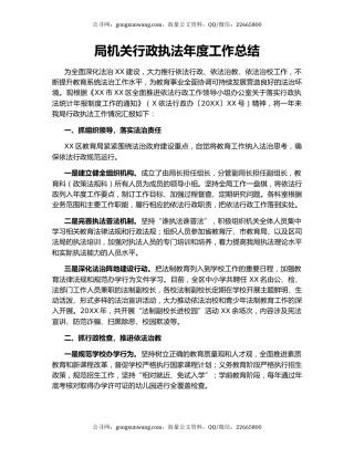 局机关行政执法年度工作总结.docx