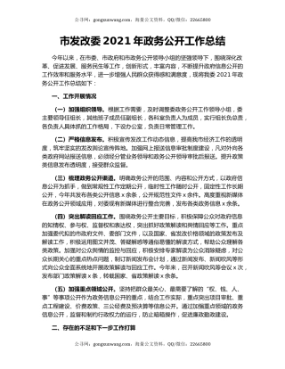市发改委2021年政务公开工作总结.docx