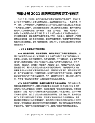 市审计局2021年防灾减灾救灾工作总结.docx