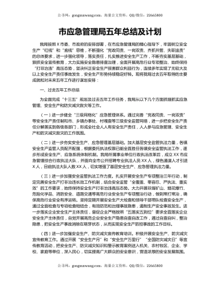 市应急管理局五年总结及计划.docx