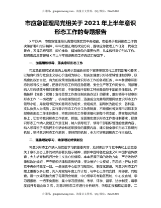 市应急管理局党组关于2021年上半年意识形态工作的专题报告.docx