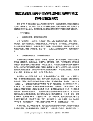 市应急管理局关于重点领域风险隐患排查工作开展情况报告.docx