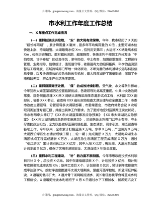 市水利工作年度工作总结.docx