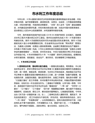 市水利工作年度总结.docx