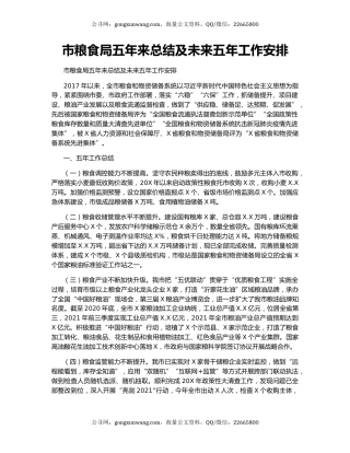 市粮食局五年来总结及未来五年工作安排.docx