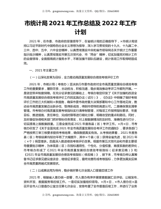 市统计局2021年工作总结及2022年工作计划.docx